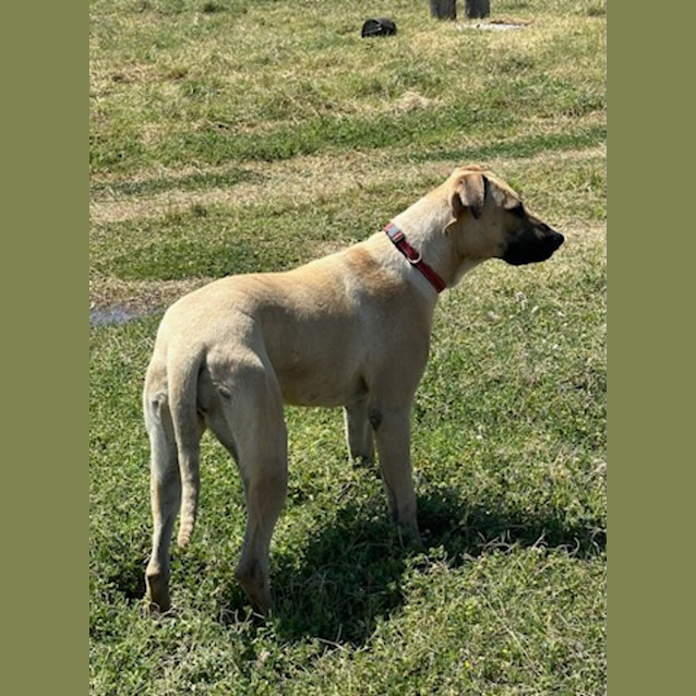 Photo of Marly