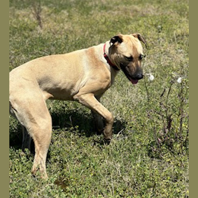 Photo of Marly