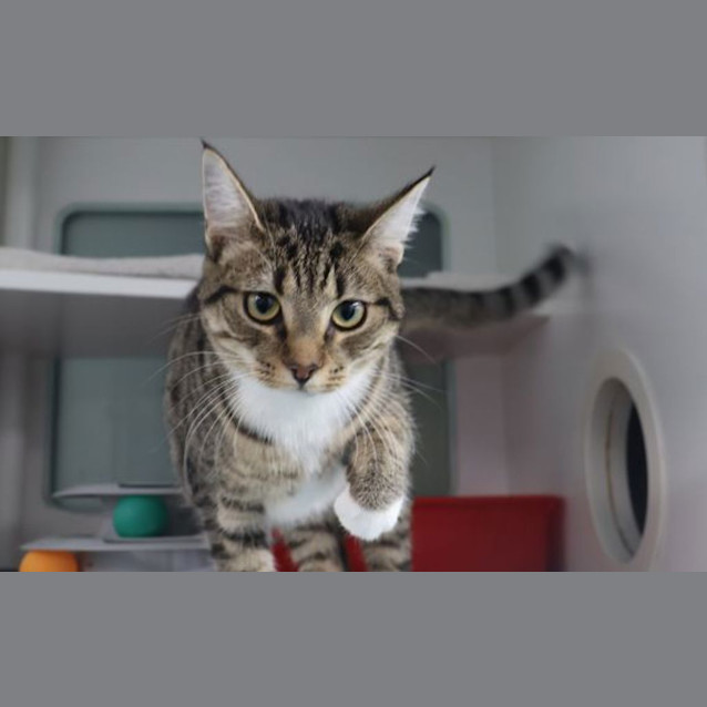 Photo of Rosie