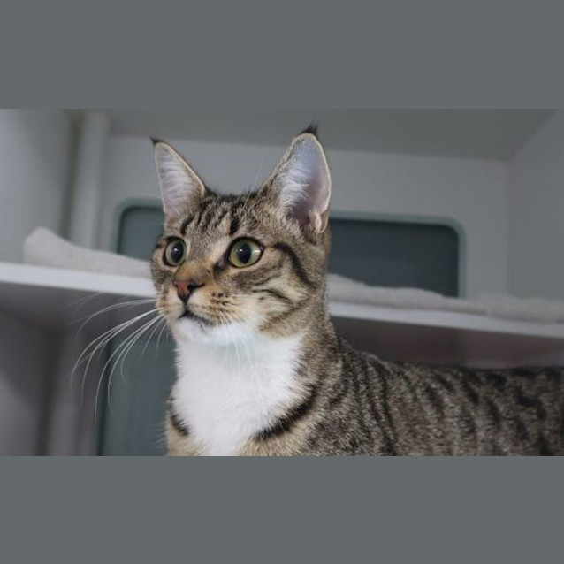 Photo of Rosie