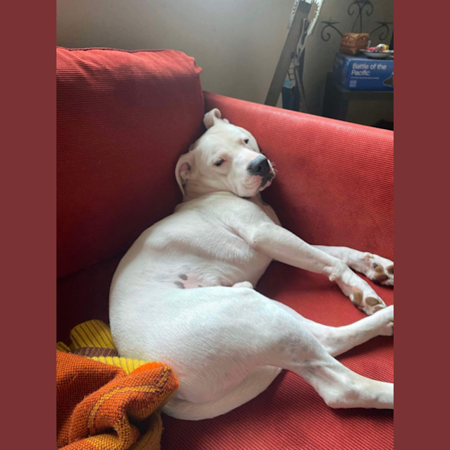 Photo of Casper