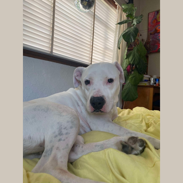 Photo of Casper