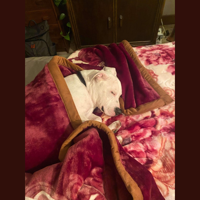 Photo of Casper