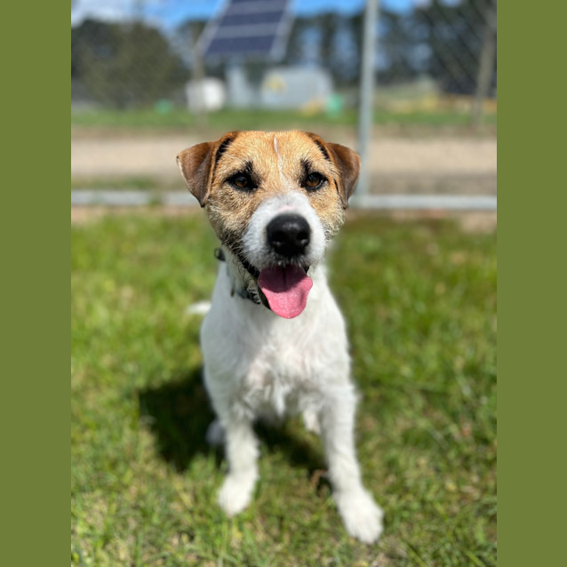 Photo of Turbo
