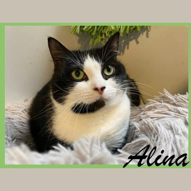 Photo of Alina 
