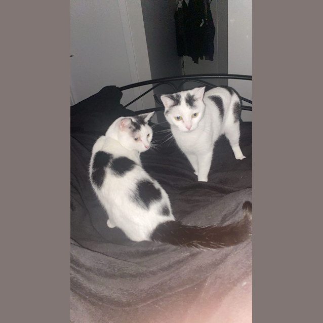 Photo of Felicity And Renee