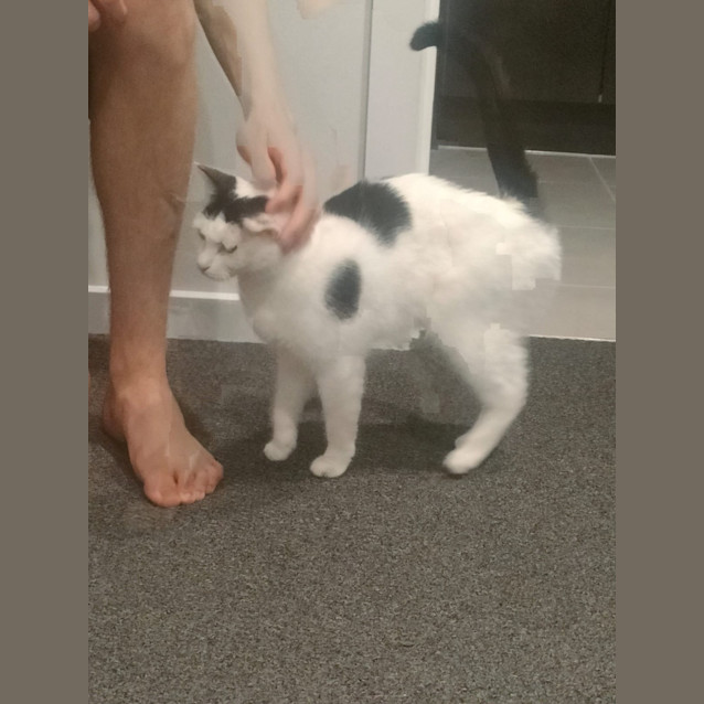 Photo of Felicity And Renee