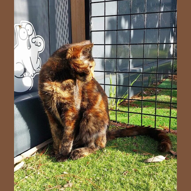 Photo of Taylor Swift