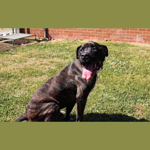 Photo of Jasper