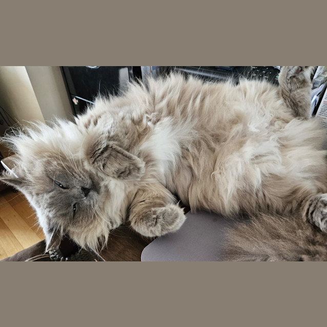 Photo of Mystique Crystal