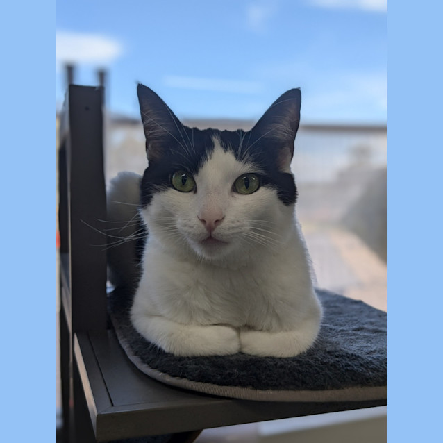 Photo of ✨ Atlas 5090 ✨