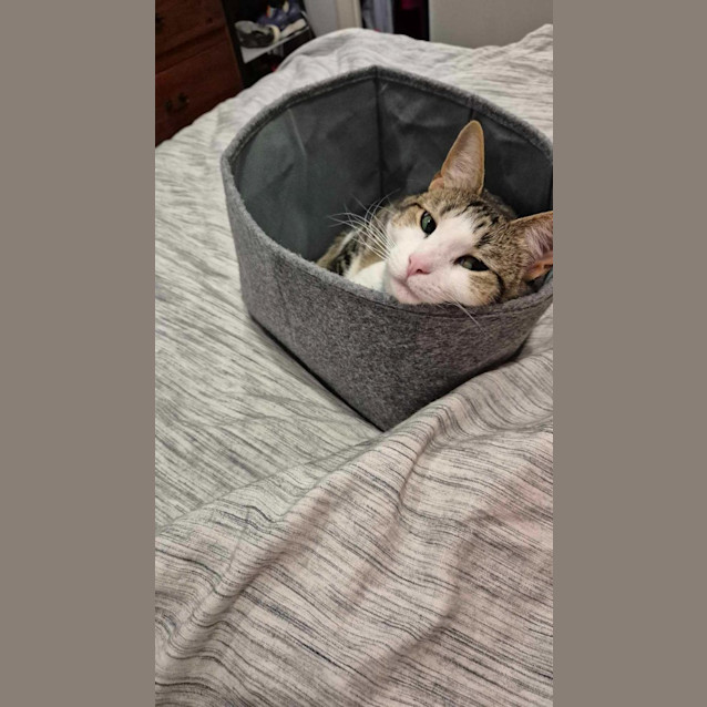 Photo of Lucy