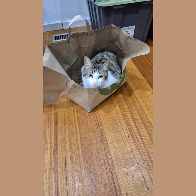 Photo of Lucy