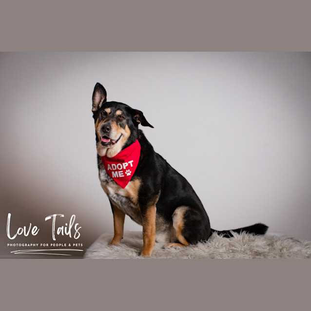 Photo of Mia