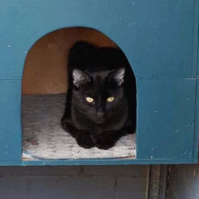 Photo of 6708   Hehemeow