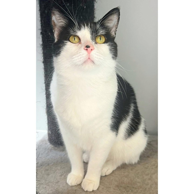 Photo of 9714   Ned