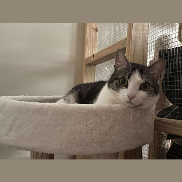 Photo of Delilah
