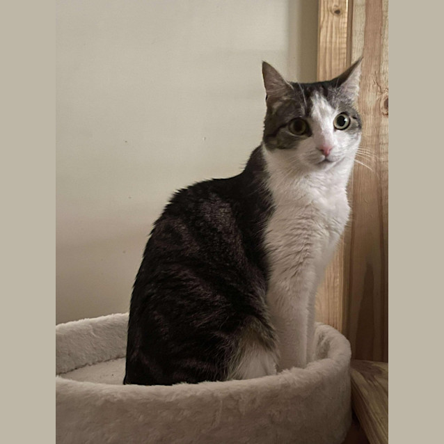 Photo of Delilah
