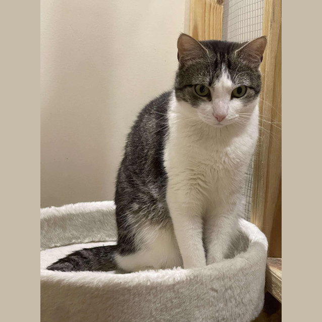 Photo of Delilah