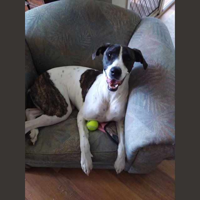 Photo of May Applegate