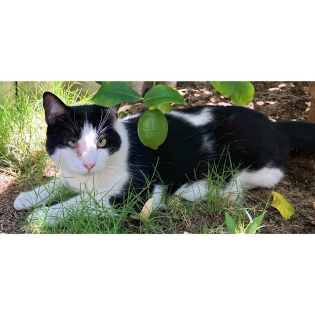 Photo of 9005   Galão