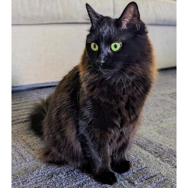 Photo of 9286   Mira