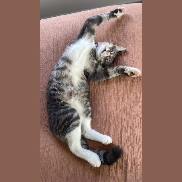 Photo of Sadie