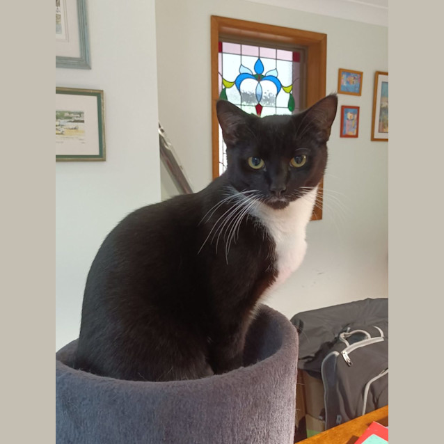 Photo of Bobby