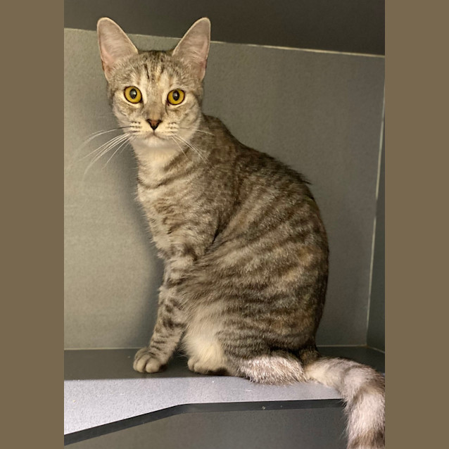 Photo of Athena