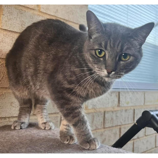 Photo of 8670   Delphine 