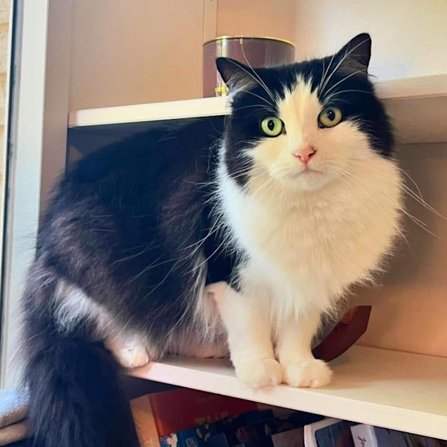 Photo of 5379   Devon