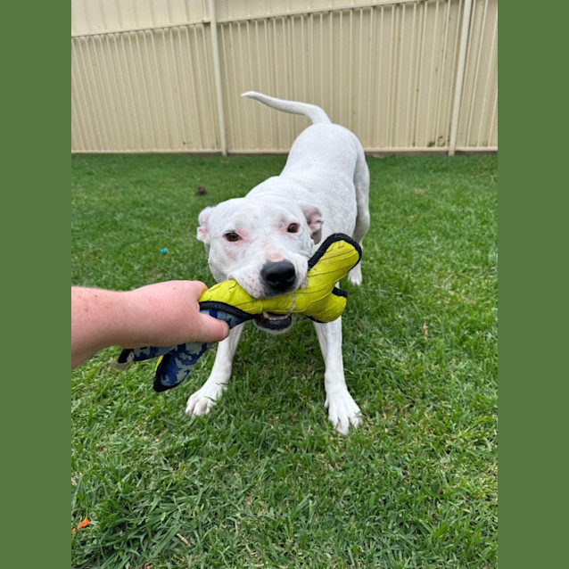 Photo of Luna