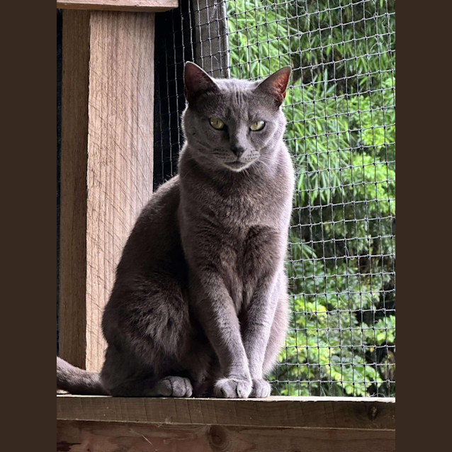 Photo of Topaz