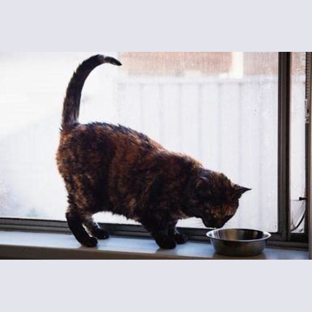 Photo of Smoky Wilberforce