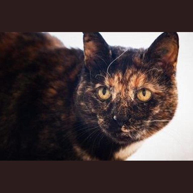 Photo of Smoky Wilberforce