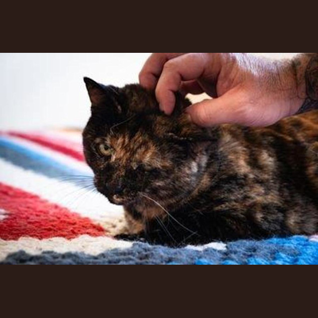 Photo of Smoky Wilberforce