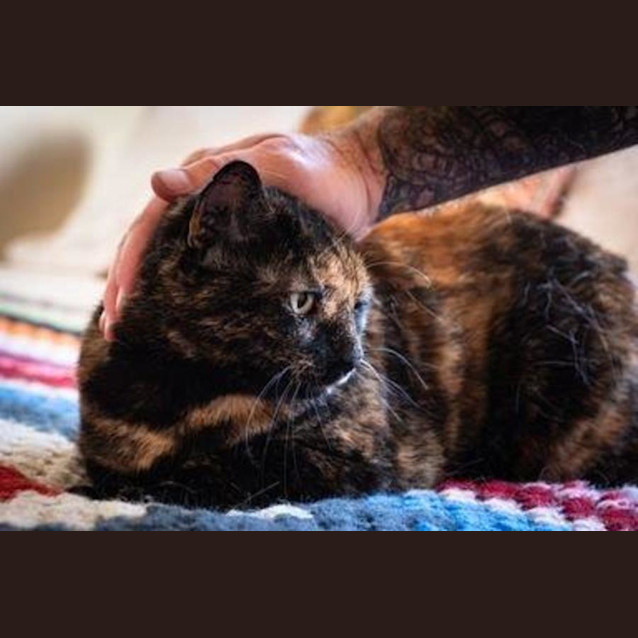 Photo of Smoky Wilberforce