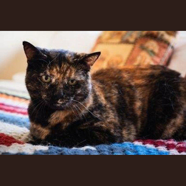 Photo of Smoky Wilberforce