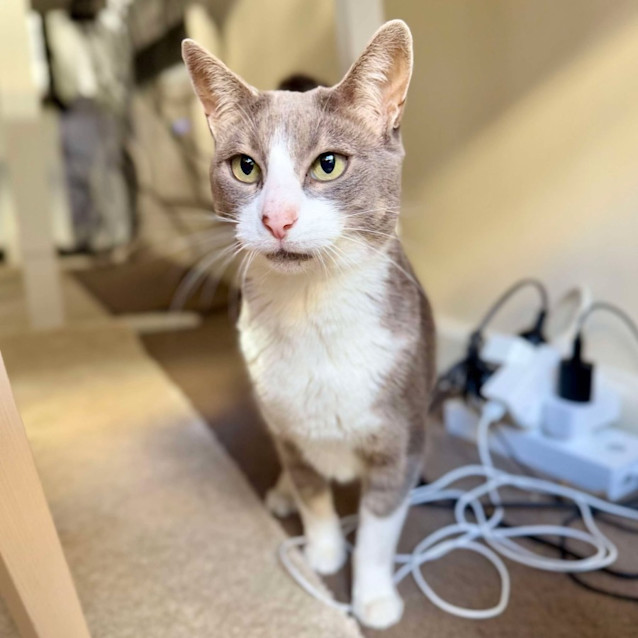 Photo of Heidi   Located In Macleod