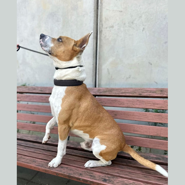 Photo of Pablo
