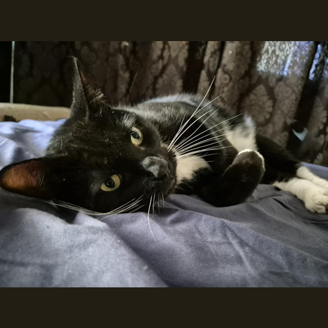 Photo of Colby 