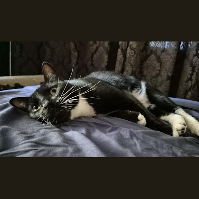 Photo of Colby 