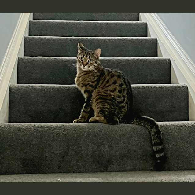 Photo of Caramel