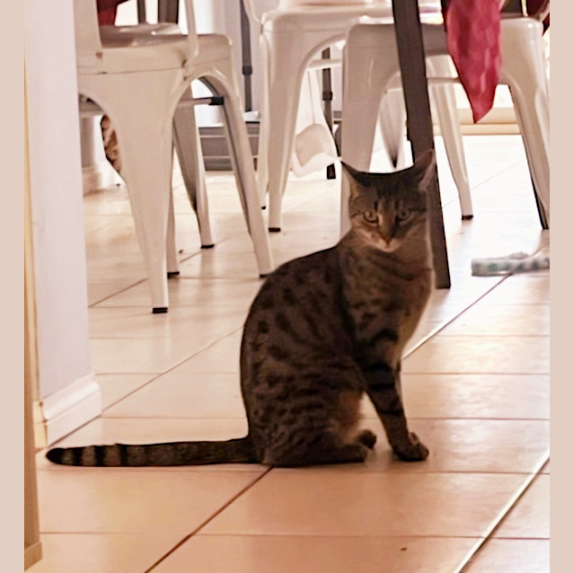 Photo of Caramel