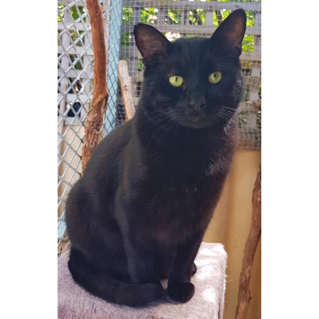 Photo of 8751   Bronx