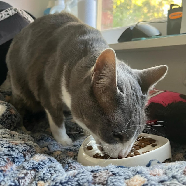 Photo of Matilda   Located In Preston