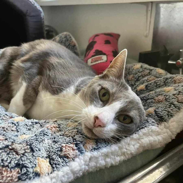 Photo of Matilda   Located In Preston