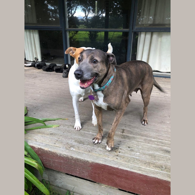 Photo of Sweet Caroline