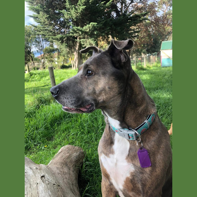 Photo of Sweet Caroline