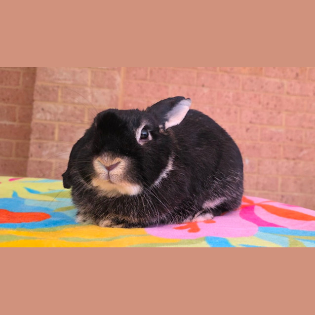 Photo of Eleanor (Ellie) *On Trial*